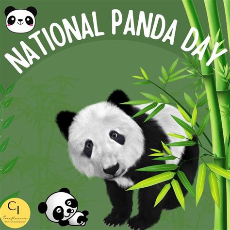 Celebrate National Panda Day