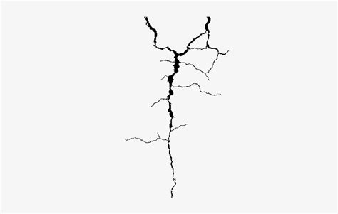 Download Cracked Texture Png Download - Crack Line Png Transparent | Transparent PNG Download ...