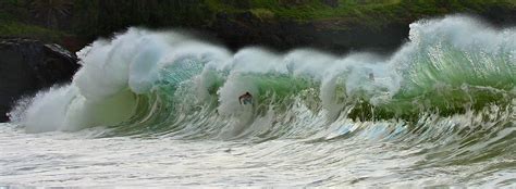 Surfing Waimea Bay | Surfing photography, Surfing, Waimea bay