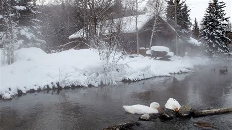 Chena Hot Springs in Fairbanks, Alaska | Expedia