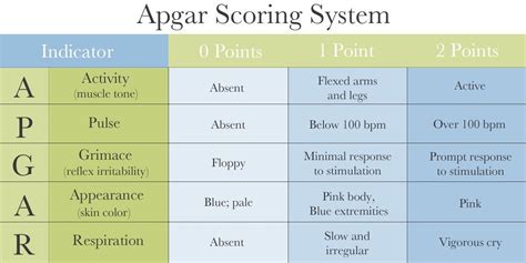 View source image | Apgar score, Newborn health, Muscle tone