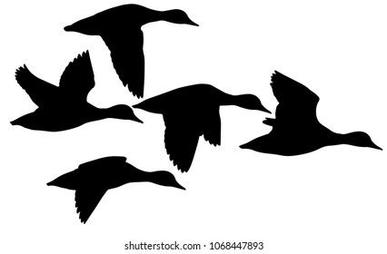 Flying Ducks Vector Ducks White Background Stock Vector (Royalty Free) 2134104243 | Shutterstock