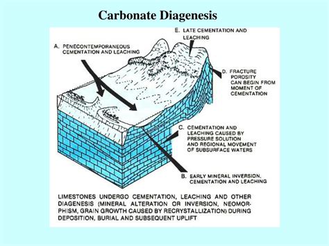 PPT - Chapter 6: Carbonate Sedimentary Rocks PowerPoint Presentation, free download - ID:4565646