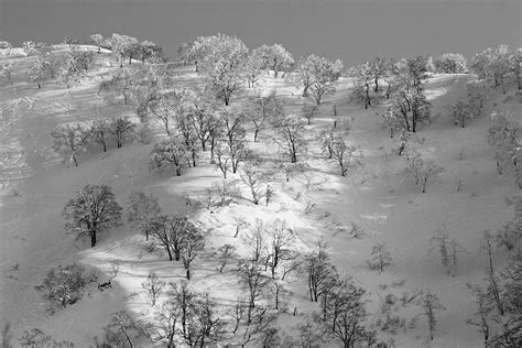 Cloudy with Snow - Nozawa Holidays