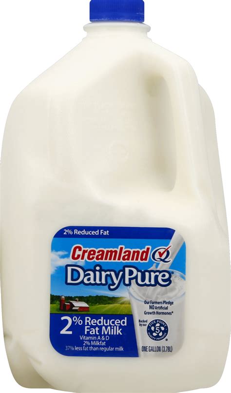 Dairy Pure Reduced-Fat 2% Milk, 1 Gallon - Walmart.com - Walmart.com
