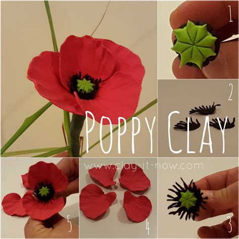 Poppy Flower Tutorial