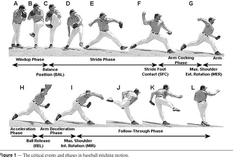 Figure 1 from Biomechanical comparison between elite female and male baseball pitchers ...