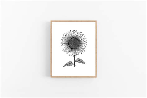 Sunflower Ink Sketch Print / Kansas State Flower Printable / - Etsy