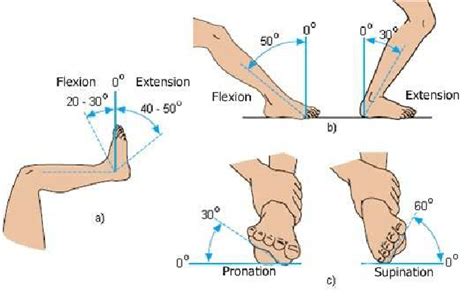 Foot Inversion Range Of Motion