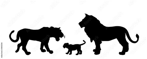 Lion family vector silhouette illustration isolated on white. Lioness with baby calf cub and ...