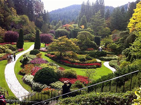 Fabulous fall colour at The Butchart Gardens