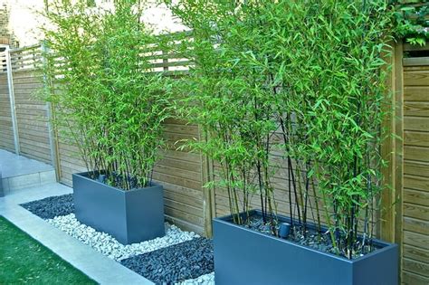 DIY Outdoor Screens and Backyard Privacy Ideas • The Garden Glove