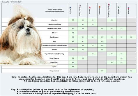 Normal shih tzu hip xray - meryswim