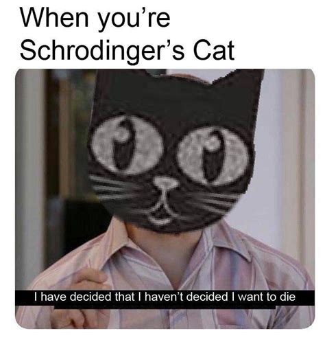 Hey Vsauce, Schrodinger’s Cat here! : r/memes