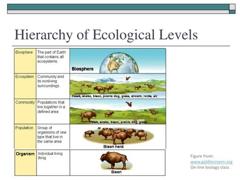 PPT - Rangeland Ecology PowerPoint Presentation, free download - ID:2864060