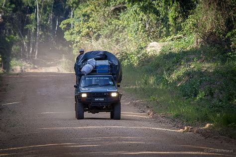 Linden-Lethem Road