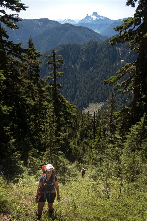 Eden Mountain: Gully Grovelling and Needle Threading - Explorington