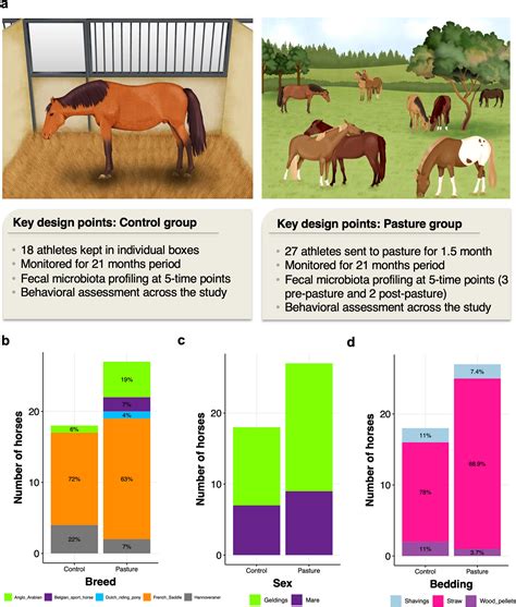 How to Give a Horse a Pill: A Step-by-Step Guide for Horse Owners