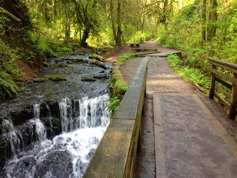 Beautiful Hope: Portland Day-Trip // Forest Park