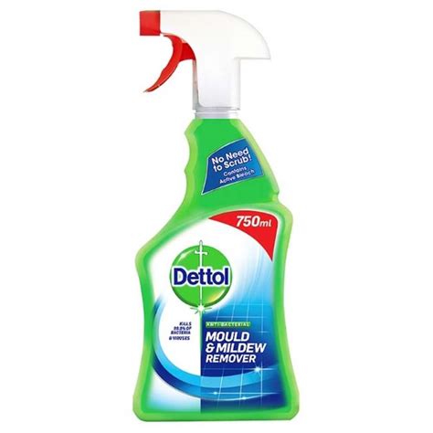 DETTOL MOULD AND MILDEW REMOVER SPRAY 750ML