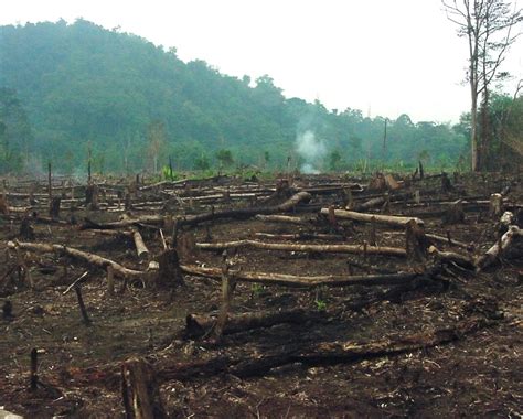 Article: Philippines just made it compulsory for students to plant 10 trees if they want to graduate