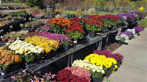 A Garden for All Seasons Lomond View Nursery