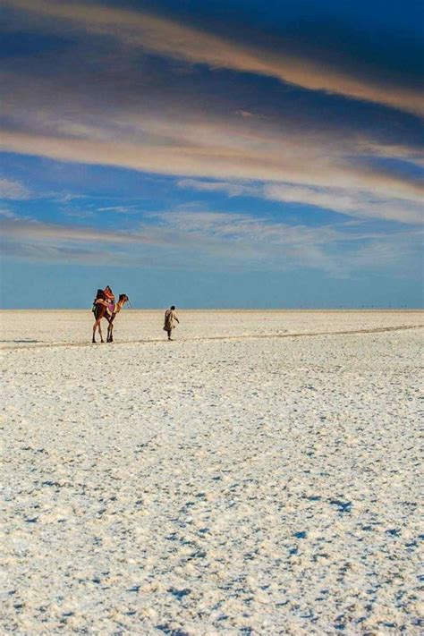 This Rann of Kutch Itinerary will blow your mind away. - GlobalJourneys