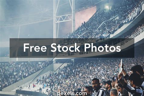 Crowd In Stadium Photos, Download The BEST Free Crowd In Stadium Stock ...