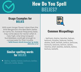 Correct spelling for belies [Infographic] | Spellchecker.net