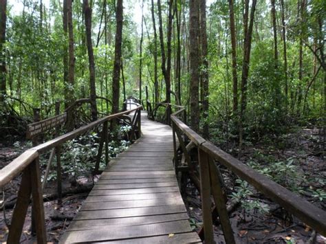 Tanjung Piai National Park (Pontian District) - 2021 All You Need to Know BEFORE You Go (with ...