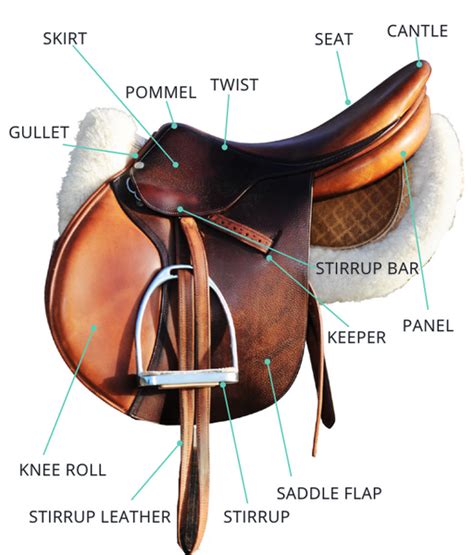 Parts of a Horse Saddle - English & Western (with Photos) – Saddles Now