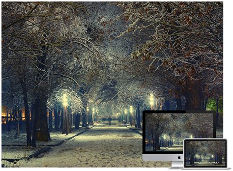 Winter Trees Desktop Backgrounds