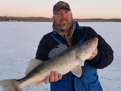 How to Ice Fish for Walleye: The Complete Guide for 2024