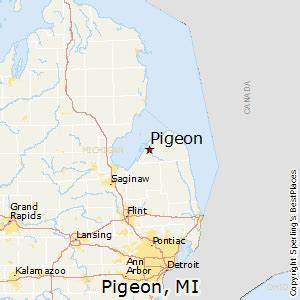 Best Places to Live in Pigeon, Michigan