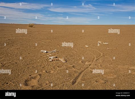 Namibian desert landscape 5 Stock Photo - Alamy