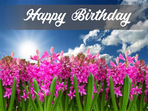 31+ Happy Birthday Flower Garden Images And Pictures