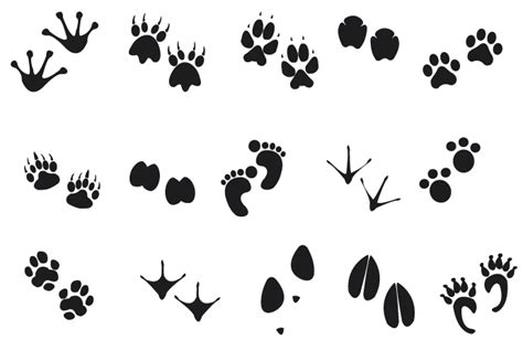 Animal tracks clipart 20 free Cliparts | Download images on Clipground 2024