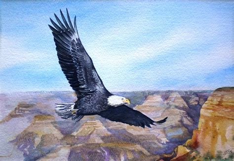 Eagle American Bald Eagle Painting by Sandra Phryce-Jones - Fine Art ...