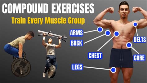 Best Compound Workout For Biceps | Blog Dandk