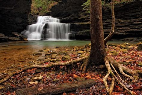 William B. Bankhead National Forest | national forest, Alabama, United ...