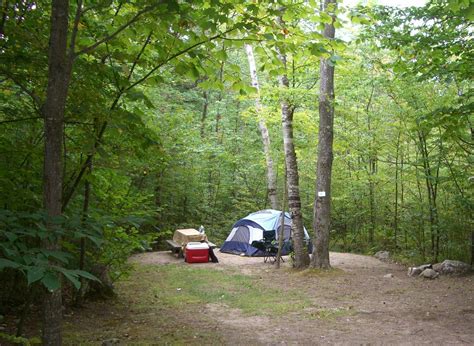 Choosing Campground or Camping in the Woods | by Camping Chimp | Medium