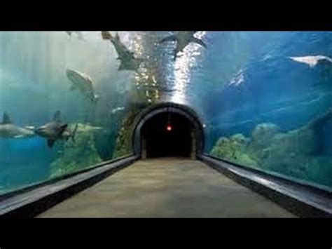 CAMDEN ADVENTURE AQUARIUM EXPERIENCE - NJ New Jersey Travel Tour Guide ...