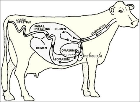 Sustaining natural and human resources that support ag, Part 1 | Farm ...