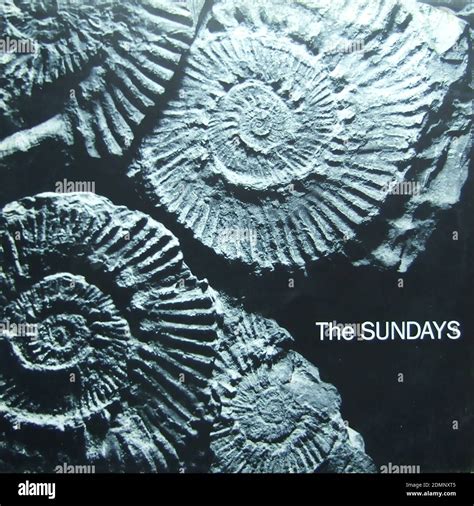 The Sundays - Reading, Writing and Arithmetic, 1989 1990 - Vintage vinyl album cover Stock Photo ...