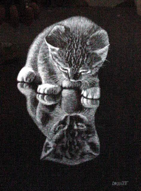 Kitten Reflection | Scratchboard art, Cat art, Animal art