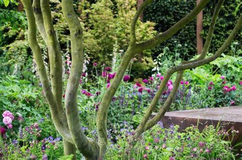 Gold Medal winning Show Garden by Jo Thompson Landscape & Garden Design