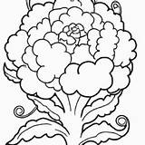 40  Desenhos de Couve Flor Para Imprimir E Colorir/Pintar Grátis sketch template