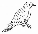 Free Printable Pigeon Coloring Pages For Kids sketch template