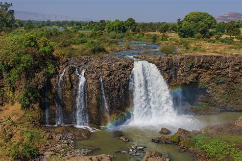 40 Thrilling Nile River Facts About the Great River of Africa | Facts.net