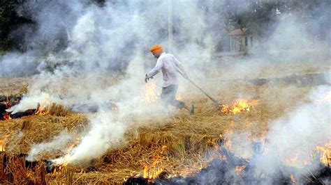 Delhi suffocates under toxic smog as air pollution continues in India - CGTN